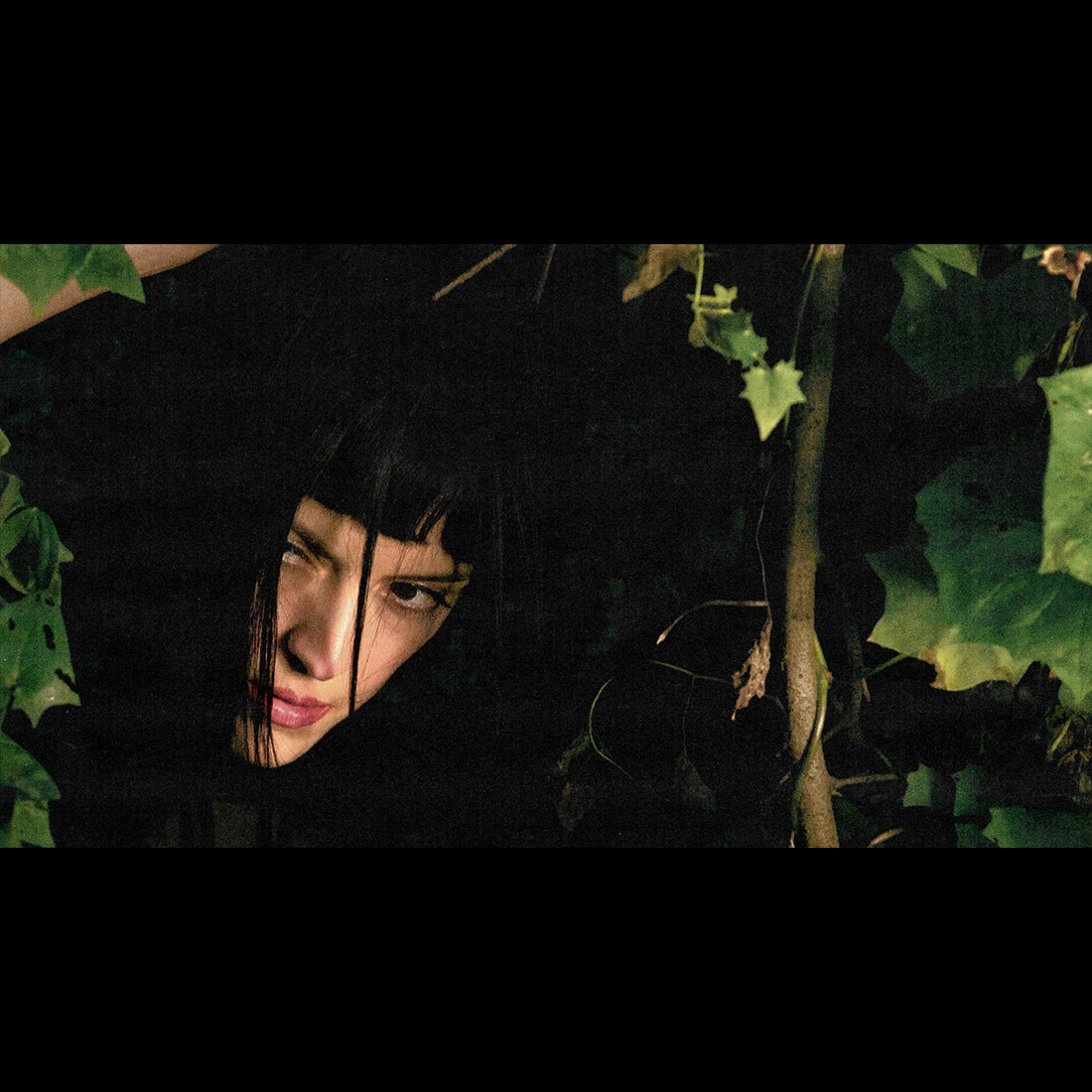 Melt - pressed moss vinyl (limited edition)